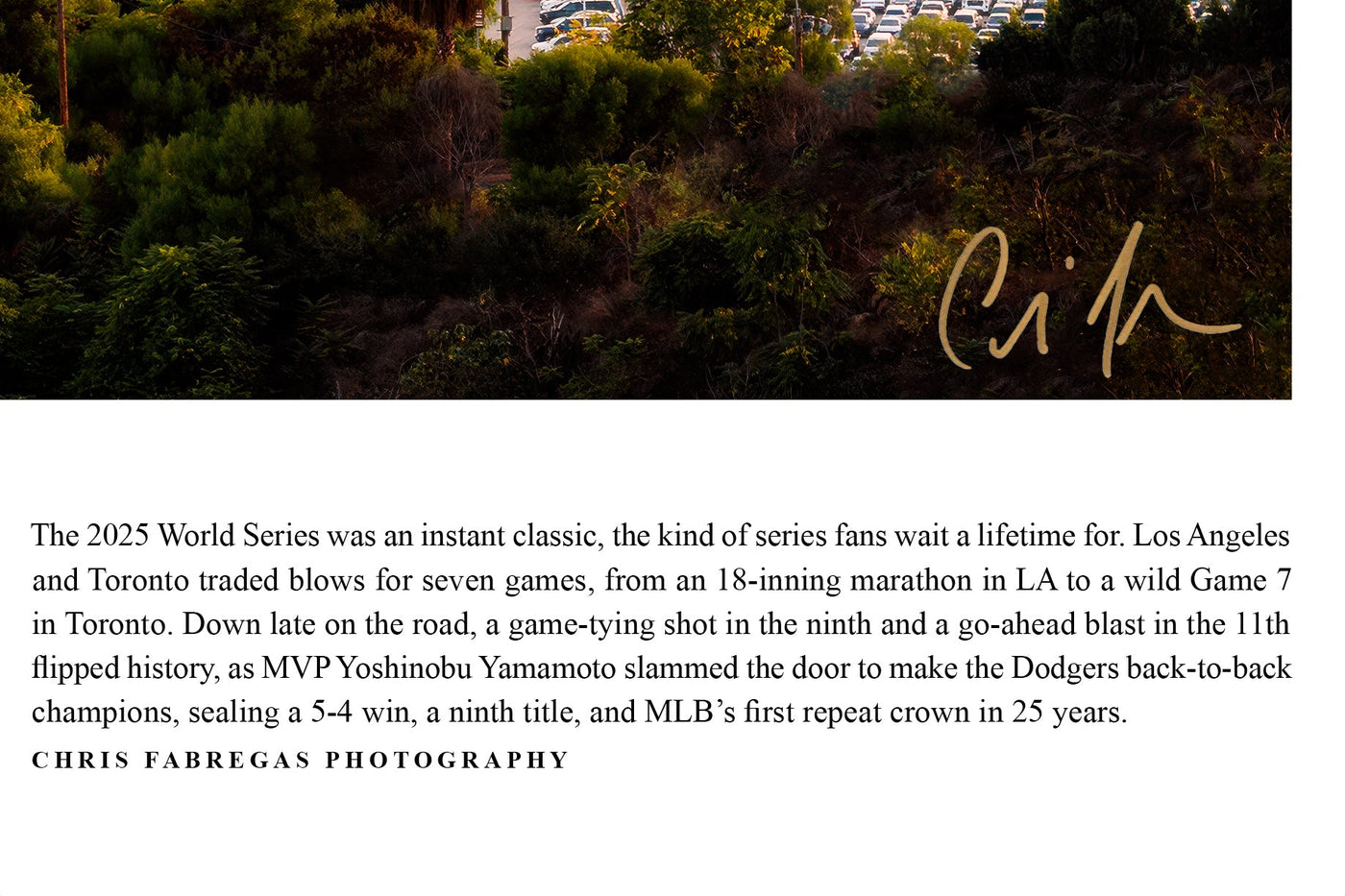 2025 Dodgers World Champions displayed in a styled room interior 7