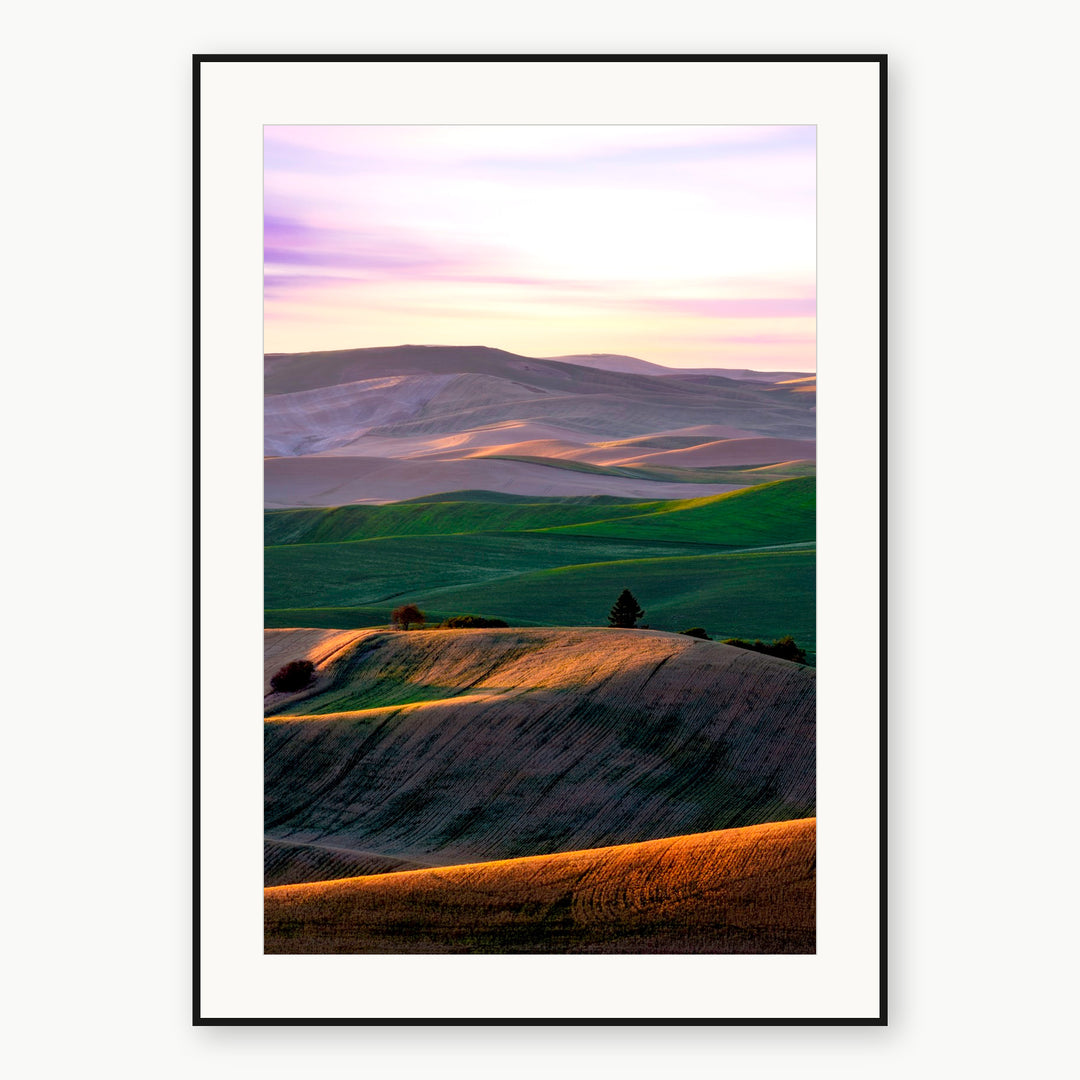 Green and gold Palouse hills in eastern Washington, shown as a print with a white mat and thin black frame.