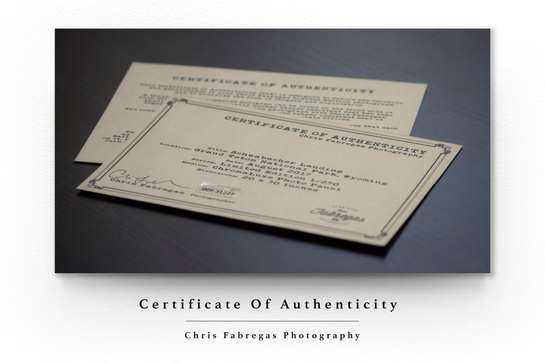 Chris Fabregas Photography Metal, Canvas, Paper Brooklyn Bridge, New York City Wall Decor Wall Art print