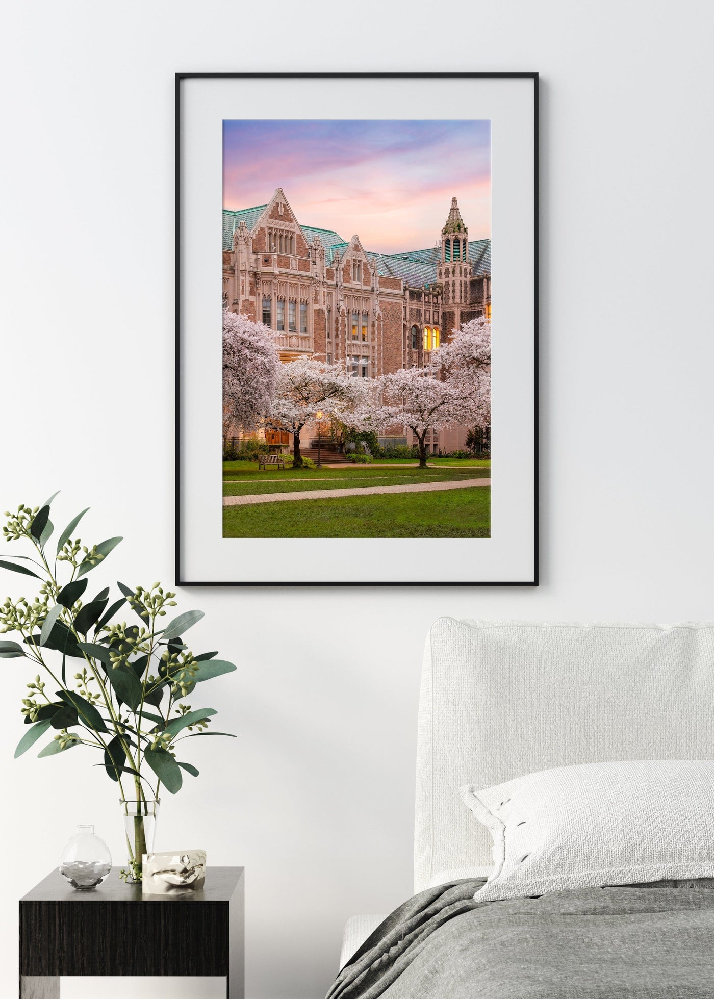 University of Washington Cherry Blossoms displayed in an elegant room interior